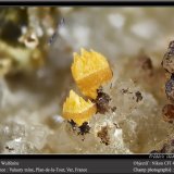 Wulfenite
fov 4.5 mm
(Autor: ploum)