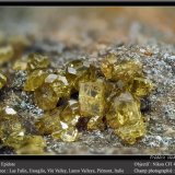 Epidote
Fov 4.5 mm
(Autor: ploum)