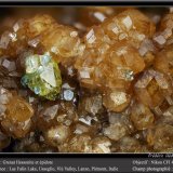 Grossular variety hessonite (Garnet Group) and Epidote
fov 4.5 mm
(Autor: ploum)