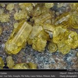 Epidote
fov 4.5 mm
(Autor: ploum)