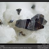 Anatase
fov 1.8 mm
(Autor: ploum)