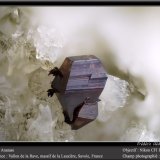Anatase
fov 1.8 mm
(Autor: ploum)