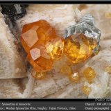 Spessartine and Muscovite
fov 9 mm
(Autor: ploum)