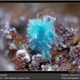 Agardite (Series)
fov 1.8 mm
(Autor: ploum)