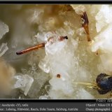 Aeschynite-(Y)
fov 1.8 mm
(Autor: ploum)