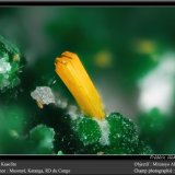 Kasolite
fov 1.7 mm
(Autor: ploum)