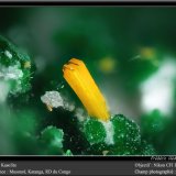 Kasolite
fov 1.7 mm
(Autor: ploum)
