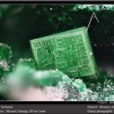Torbernite
fov 1.8 mm
(Autor: ploum)