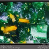 Kasolite and Torbernite
fov 1.8 mm
(Autor: ploum)