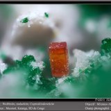 Wulfenite, Malachite and Cuprosklodowskite
fov 1.8 mm
(Autor: ploum)