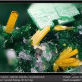 Kasolite, Torbernite, Malachite and Cuprosklodowskite
fov 1.8 mm
(Autor: ploum)