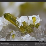 Epidote, Prehnite
fov 1.8 mm
(Autor: ploum)