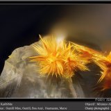 Karibibite
fov 1.8 mm
(Autor: ploum)