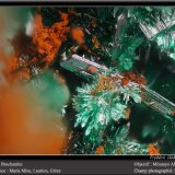Brochantite
fov 1.8 mm
(Autor: ploum)