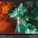 Brochantite
fov 1.8 mm
(Autor: ploum)
