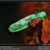 Olivenite and Conichalcite
fov 1.8 mm
(Autor: ploum)
