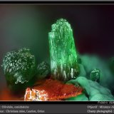 Olivenite and Conichalcite
fov 1.8 mm
(Autor: ploum)