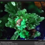 Olivenite and conichalcite
fov 3 mm
(Autor: ploum)