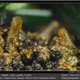 Siderite, Pyrite, Goethite and Vivianite
fov 4.5 mm
(Autor: ploum)