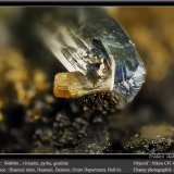 Siderite, Vivianite, Pyrite and Goethite
fov 4.5 mm
(Autor: ploum)
