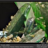 Vivianite and Siderite
fov 9 mm
(Autor: ploum)