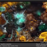 Agardite on Malachite
fov 2.5 mm
(Autor: ploum)