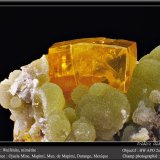 Wulfenite on Mimetite
fov 11 mm
(Autor: ploum)