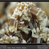Vesuvianite
fov 13.5 mm
(Autor: ploum)
