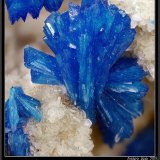 Cavansite and Stilbite
fov 11 mmm
(Autor: ploum)