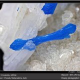 Cavansite on Stilbite
fov 11 mm
(Autor: ploum)