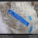 Cavansite on Stilbite
fov 5.5 mm
(Autor: ploum)