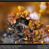 Strengite, Beraunite and Cacoxenite
fov 2.2 mm
(Autor: ploum)