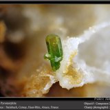 Pyromorphite
fov 3 mm
(Autor: ploum)