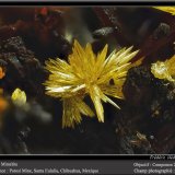 Mimetite
fov 3 mm
(Autor: ploum)