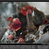 Wendwilsonite, Erythrite, Skutterudite, Cobaltlotharmeyerite, Quartz
fov 3 mm
(Autor: ploum)