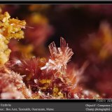 Erythrite
fov 2 mm
(Autor: ploum)