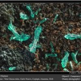 Dioptase
fov 2.5 mm
(Autor: ploum)