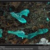 Dioptase
fov 2.2 mm
(Autor: ploum)