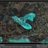 Dioptase
fov 1.6 mm
(Autor: ploum)