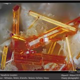Vanadinite
fov 2.2 mm
(Autor: ploum)
