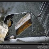 Rutile on Hematite
fov 2.2 mm
(Autor: ploum)