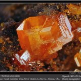 Wulfenite and Mimetite
fov 4.5 mm
(Autor: ploum)