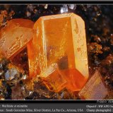 Wulfenite and Mimetite
fov 4.5 mm
(Autor: ploum)