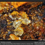 Wulfenite and Mimetite on Quartz
fov 4.5 mm
(Autor: ploum)