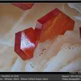 Vanadinite on Barite
fov 4.5 mm
(Autor: ploum)