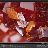Wulfenite on Vanadinite
fov 4.5 mm
(Autor: ploum)