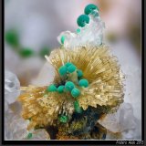 Mimetite, Malachite and Quartz
fov 4.5 mm
(Autor: ploum)