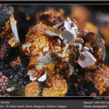 Jarosite
fov 4.5 mm
(Autor: ploum)