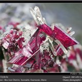 Erythrite with Quartz
fov 11 mm
(Autor: ploum)