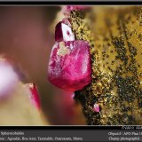 Spherocobaltite
fov 2 mm
(Autor: ploum)
